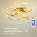 Axyaa LED Ceiling Chandelier Modern Living Room Bedroom Lighting Fixtures