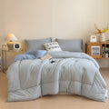 Axyaa Fluffy Warm Duvet Insert: Thick Autumn Winter Comforter Quilt for Bed