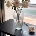 Axyaa Vintage Glass Vase for Living Room Flower Arrangement