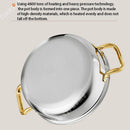 Axyaa 410 Stainless Steel Non-stick Soup Pot with Lid
