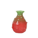 Axyaa Pitaya Ceramic Vase Hydroponic Desktop Small Mouth Vase Artistic Flower Vessel