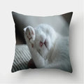 Cute Cat Print Cushion Cover for Sofa Decor by Axyaa