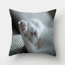 Cute Cat Print Cushion Cover for Sofa Decor by Axyaa