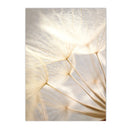 Axyaa Nordic Canvas Wall Art Print Posters for Living Room Decor