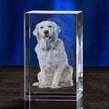 Axyaa Crystal Pet Memorial Keepsake - Personalized Sympathy Tribute Gift for Beloved Departed Pet