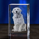 Axyaa Crystal Pet Memorial Keepsake - Personalized Sympathy Tribute Gift for Beloved Departed Pet