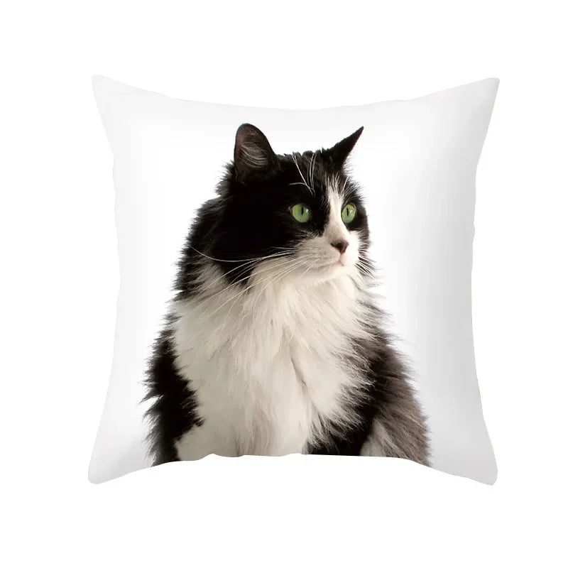 Axyaa Black Cat Pillowcases: Cute Kitty Lover Cushion Cover & Home Decor