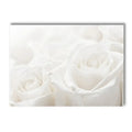 White Rose Dahlia Romantic Flower Palm Leaf Wall Art Canvas Painting Bedroom Decor Axyaa
