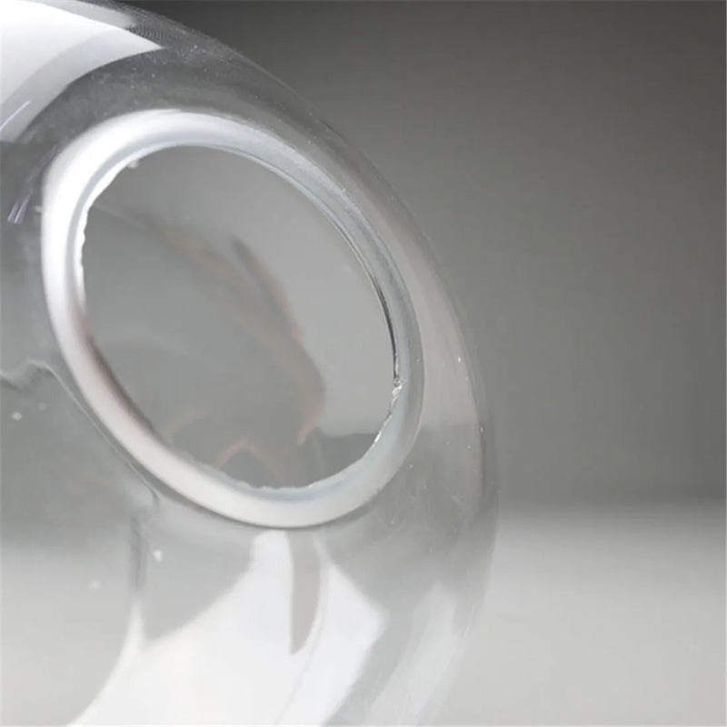 Axyaa Hand Blown Clear Glass Globe Lampshade with 2 Ends Opening