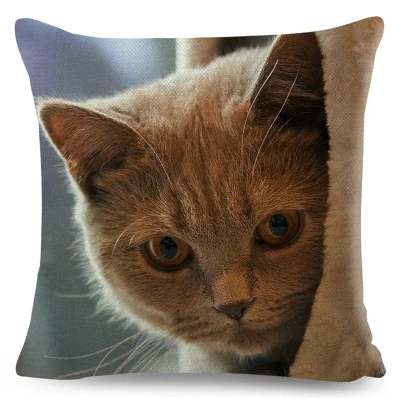Axyaa Fold Ear Cat Pillow Covers - Set of 2 Cute Pet Pillowcases