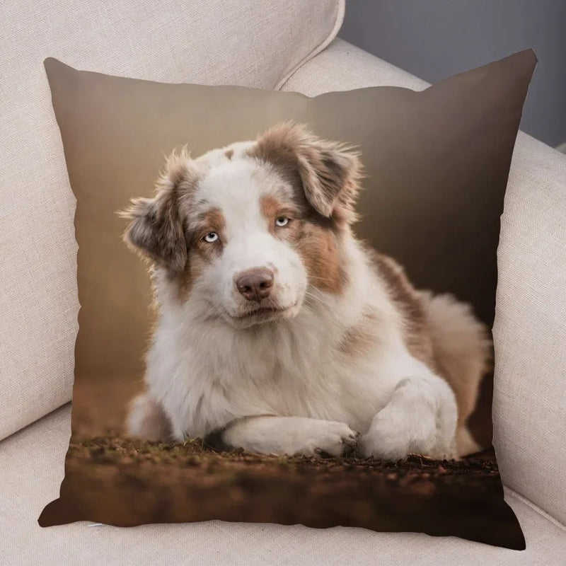 Axyaa Australian Shepherd Pillow Cover - Cute Dog Animal Cushion