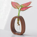 Axyaa Walnut Wood Flower Stand Glass Vase for Creative Arrangements