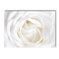 White Rose Dahlia Romantic Flower Palm Leaf Wall Art Canvas Painting Bedroom Decor Axyaa
