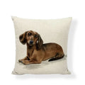 Axyaa Cute Animal Painted Cushion Covers for Home Decor and Gifts