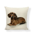 Axyaa Cute Animal Painted Cushion Covers for Home Decor and Gifts