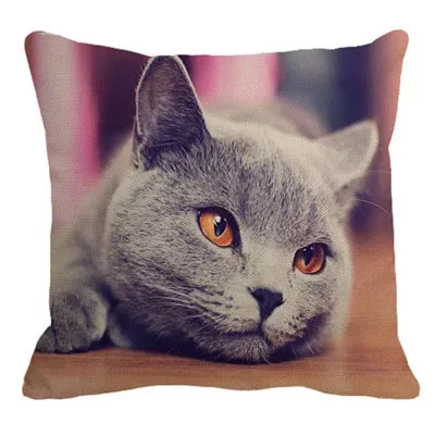 Axyaa British Shorthair Cat Pillow Cover 45X45cm Square Cushion