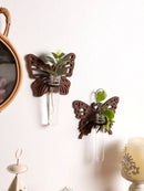Lotus Wall Planters for Indoor Plants - Axyaa Plant Propagation Station Gift