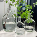Axyaa Glass Vase: Big Belly Flower Arrangement Hydroponics Home Decoration