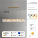 Axyaa Luxury Glass Crystal Chandelier for Living Room, Bedroom, and Study