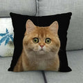 Fat Orange Cat Print Cushion Cover 45x45cm by Axyaa: Animal Pattern Home Decor Pillowcase