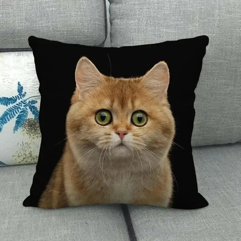 Fat Orange Cat Print Cushion Cover 45x45cm by Axyaa: Animal Pattern Home Decor Pillowcase