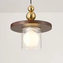 Axyaa Glass LED Pendant Light Chandelier Modern Art Decor Hanging Lamp Wood