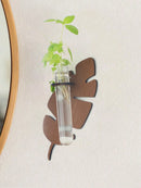 Axyaa Wood Wall Planters Turtle Back Leaf Pots Indoor Propagation Station