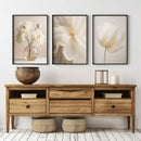 White Peony Flower Wall Art Prints by Axyaa - Modern Home Decor
