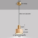 Axyaa Nordic LED Pendant Lamp Walnut Copper Hanging Light Fixtures