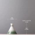 Axyaa Green Gradient Ceramic Vase for Stylish Living Room Decor