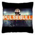 Axyaa Polyester Pillow Case for Home Decor Sofa Livingroom, Reusable Cushion Cover