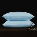 Axyaa Goose Feather Down Pillows - 2 Pack, 100% Cotton, Standard Queen King Sizes