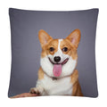 Axyaa Cute Dog Photo Polyester Cushion Cover for Home Sofa Car