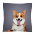 Axyaa Dog Photo Pattern Cushion Cover for Home Sofa Car Decoration
