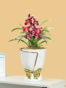 Axyaa Nordic Ceramic Tulip Vase for Home Decor and Bonsai Plants