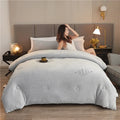 Axyaa Double Sided Milk Velvet Winter Comforter King Size Quilts, Soft Plush Duvets