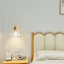 Axyaa Modern Glass Ceiling Light With Wood E27 Bulb for Bedroom Dining Room
