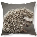 Axyaa Lovely Little Hedgehog Design Cushion Cover for 45*45cm Sofa Pillow