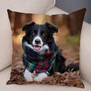 Scottish Border Collie Pillowcase - Axyaa Dog Print Decor Cushion Cover