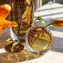 Axyaa Bubble Glass Vase: Hydroponic Planter Flower Arrangement Decor Vessel