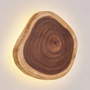 Axyaa Solid Wood Wall Lamp: Mid Ancient Japanese Wabi Sabi Style Designer Lighting Fixtures