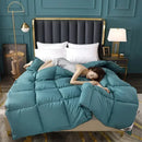 Axyaa White Down Comforter Duvet Winter Quilt Cotton Cover Twin King Size