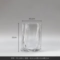 Axyaa Glass Hydroponic Vase for Home Decor and Flowers