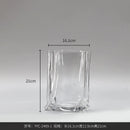 Axyaa Glass Hydroponic Vase for Home Decor and Flowers
