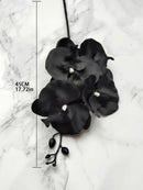 Axyaa Black Butterfly Orchid Silk Cloth Artificial Flower Home Decoration