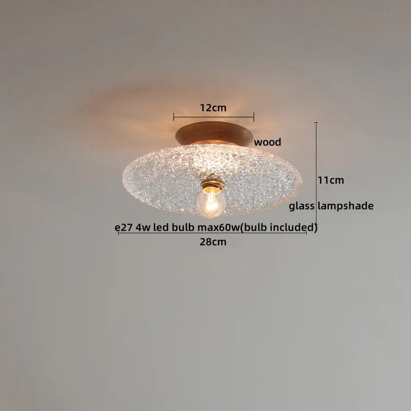 Nordic Modern Axyaa Glass LED Ceiling Lamp for Home Restaurant Balcony Lighting
