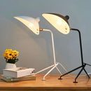 Axyaa Adjustable Arm Floor Lamp, Japanese Ceiling Light for Industrial Living Room