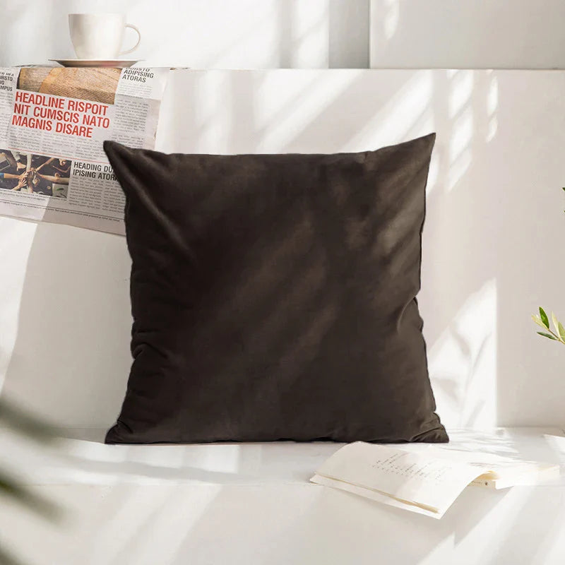 Velvet Cushion Cover for Sofa Living Room, 30x50cm Decorative Pillows by Axyaa