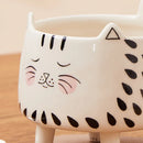 Axyaa Cat Meow Mug: Cute Ceramic Coffee Cup for Women, Girls - 4 Legs Novelty Design