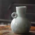 Axyaa Ceramic Hydroponic Vases: Creative Small Flower Arrangements for Home Decor